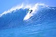 alana_blanchard_25.jpg