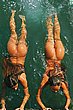 beach_hotties_15.jpg